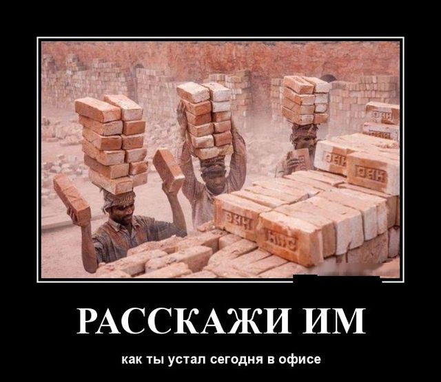 Расскажи им...