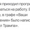 Резюме программиста