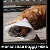 Моральная поддержка Моральная поддержка
