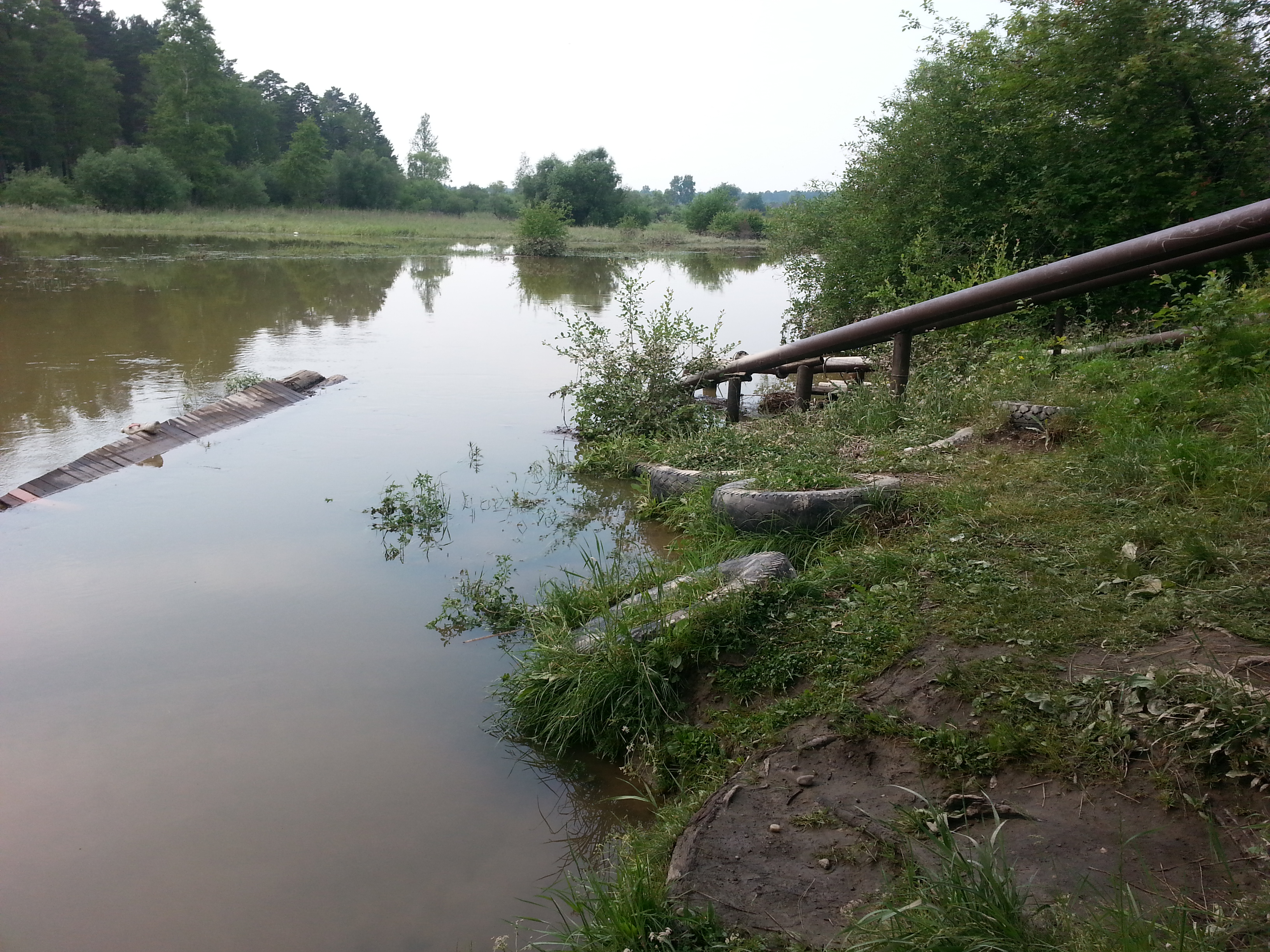 в районе водокачки Расцвета ...