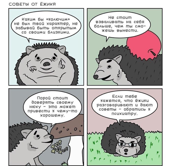 Советы от Ёжика