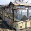 скоро на грядках страны
