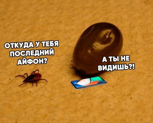хитрый клесчъ)))) хитрый клесчъ))))