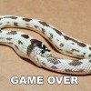 Game over Game over