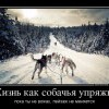 Упряжка