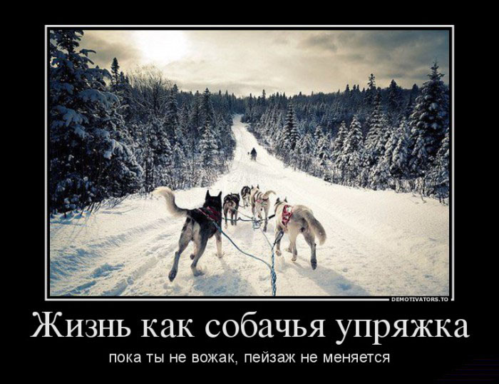 Упряжка