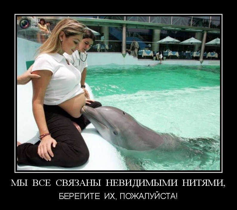 Невидимые нити
