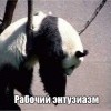 Рабочий энтузиазм Рабочий энтузиазм