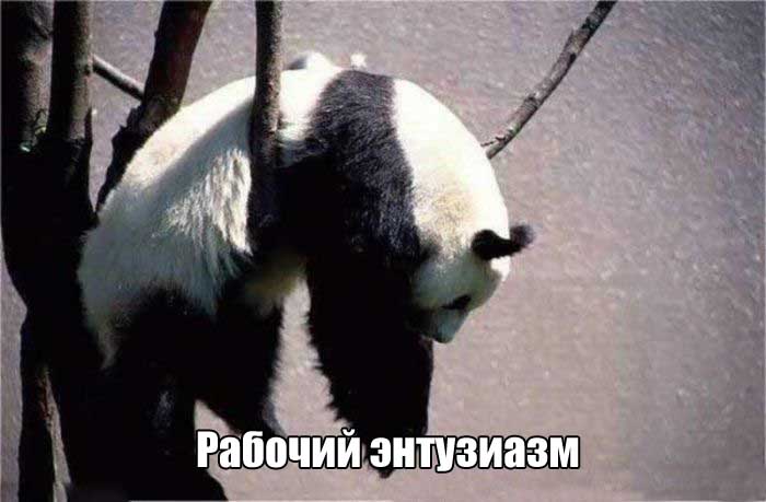 Рабочий энтузиазм