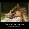 Пьянство