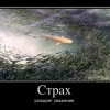 Страх-рождает уважение Страх-рождает уважение