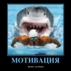 Мотивация Мотивация