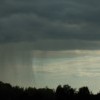 DSCN8693