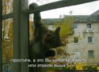 ))