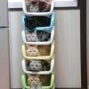 Котошкаф