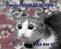 )) ))