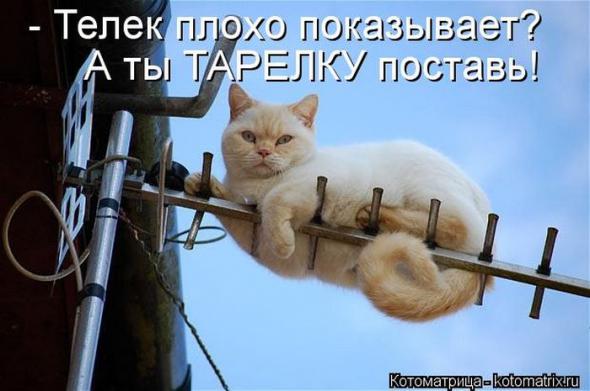 Ac4b412f488ac6b45664d3fb0db prev