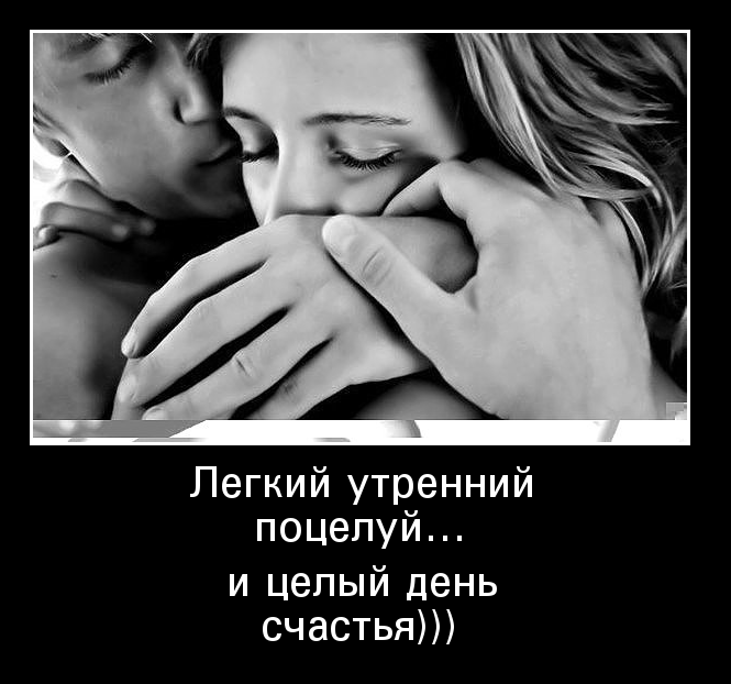 Целый день счастья