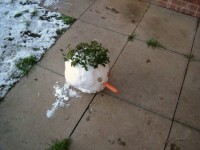 Снеговик-Штучка