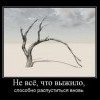 Всё,что выжило... Всё,что выжило...