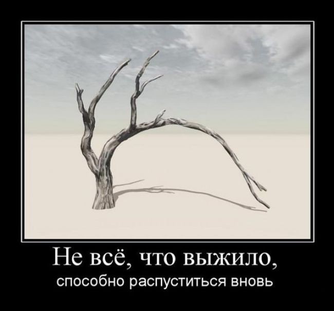 Всё,что выжило...