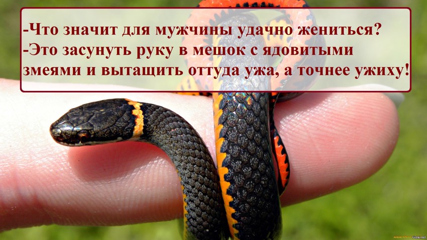 Удачно жениться