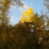 Осень