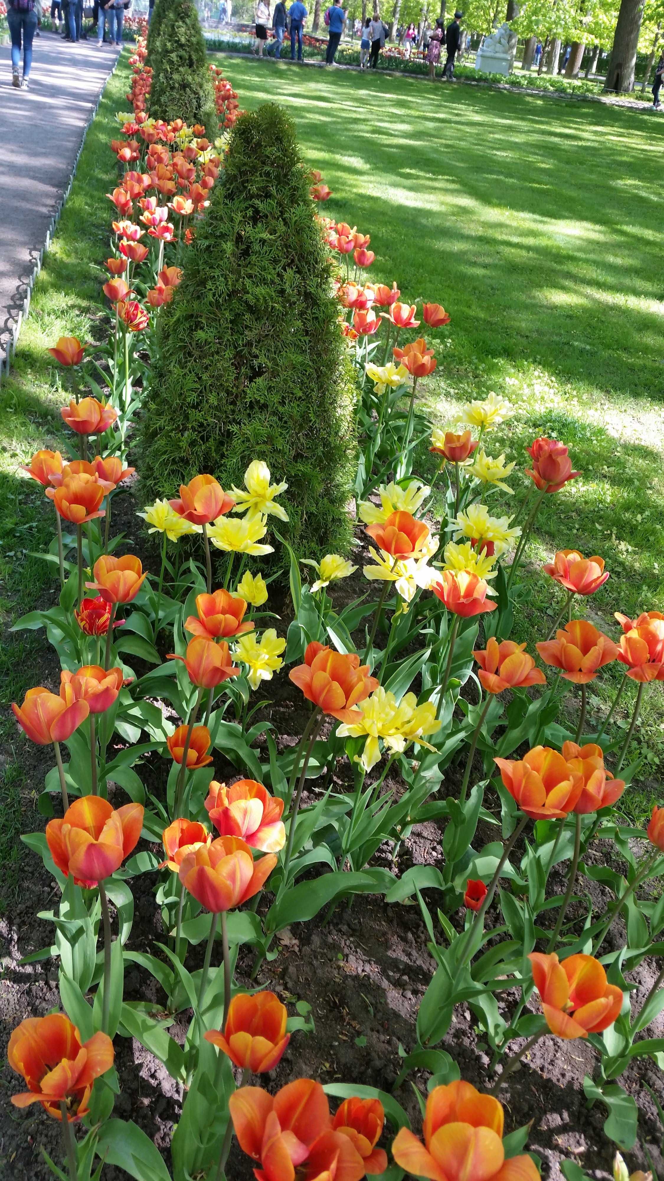 Моё, Санкт-Петербург, город, хорошо