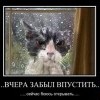 Забыл впустить
