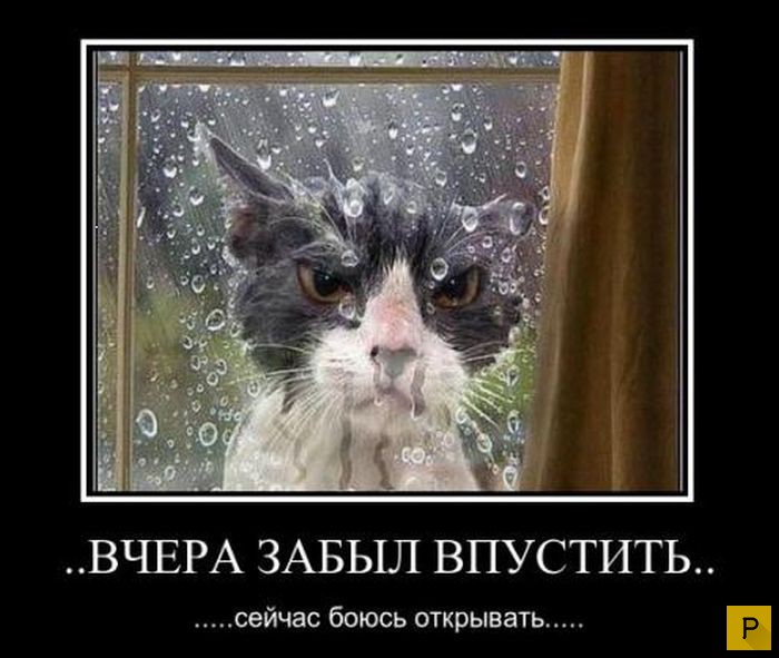 Забыл впустить