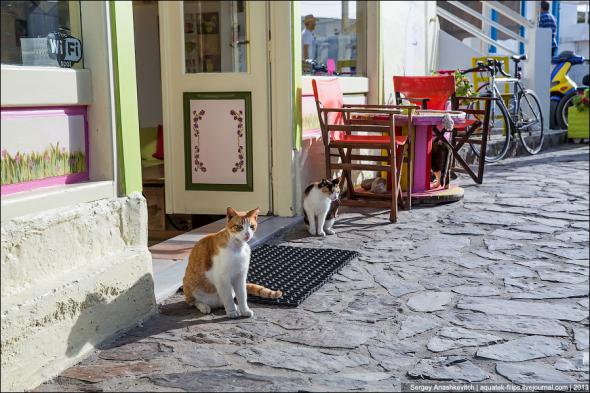 Котэ