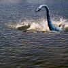Лохнесское чудовище на китое Лохнесское чудовище на китое
