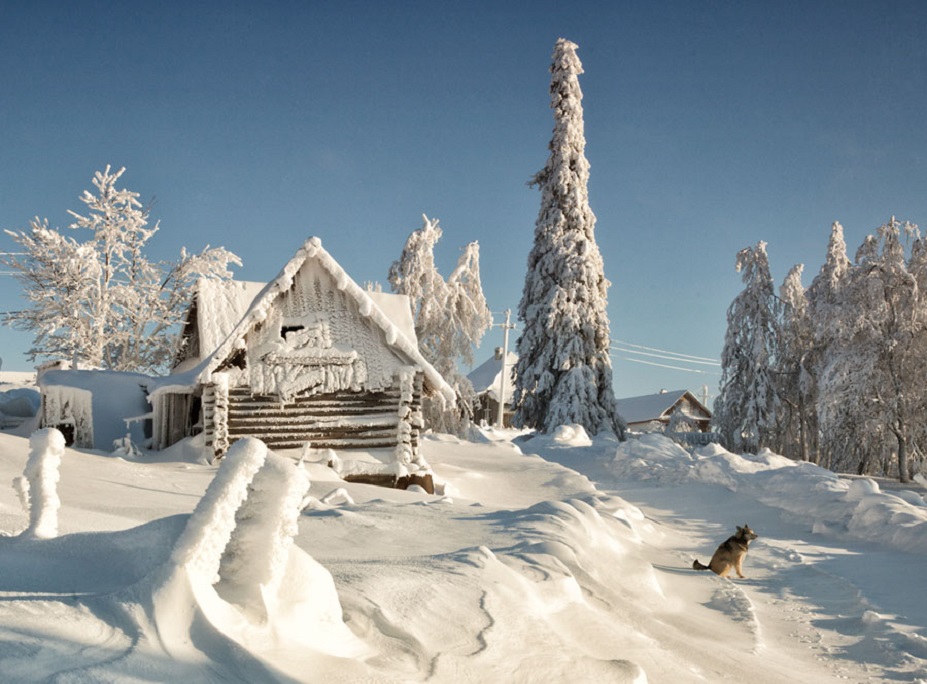 Утро в деревне