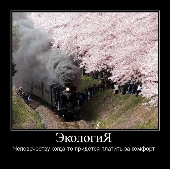Экология