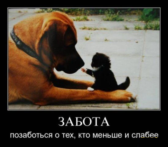 Забота