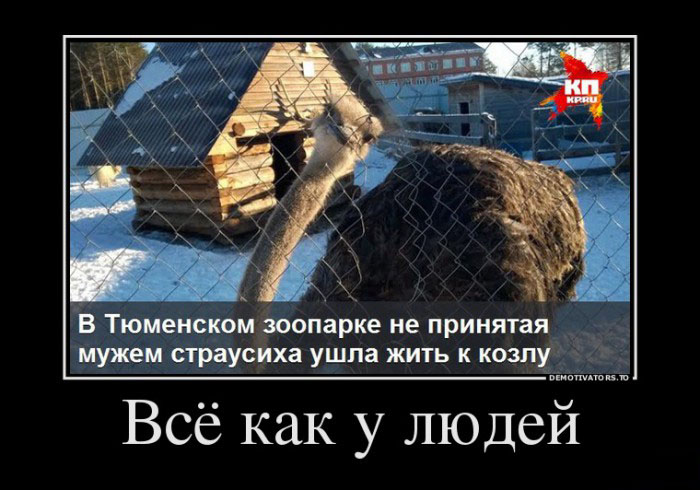 Всё как у людей