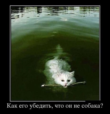 Как убедить...
