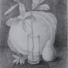 Шадрина Виктория 3кл. Шадрина Виктория 3кл.