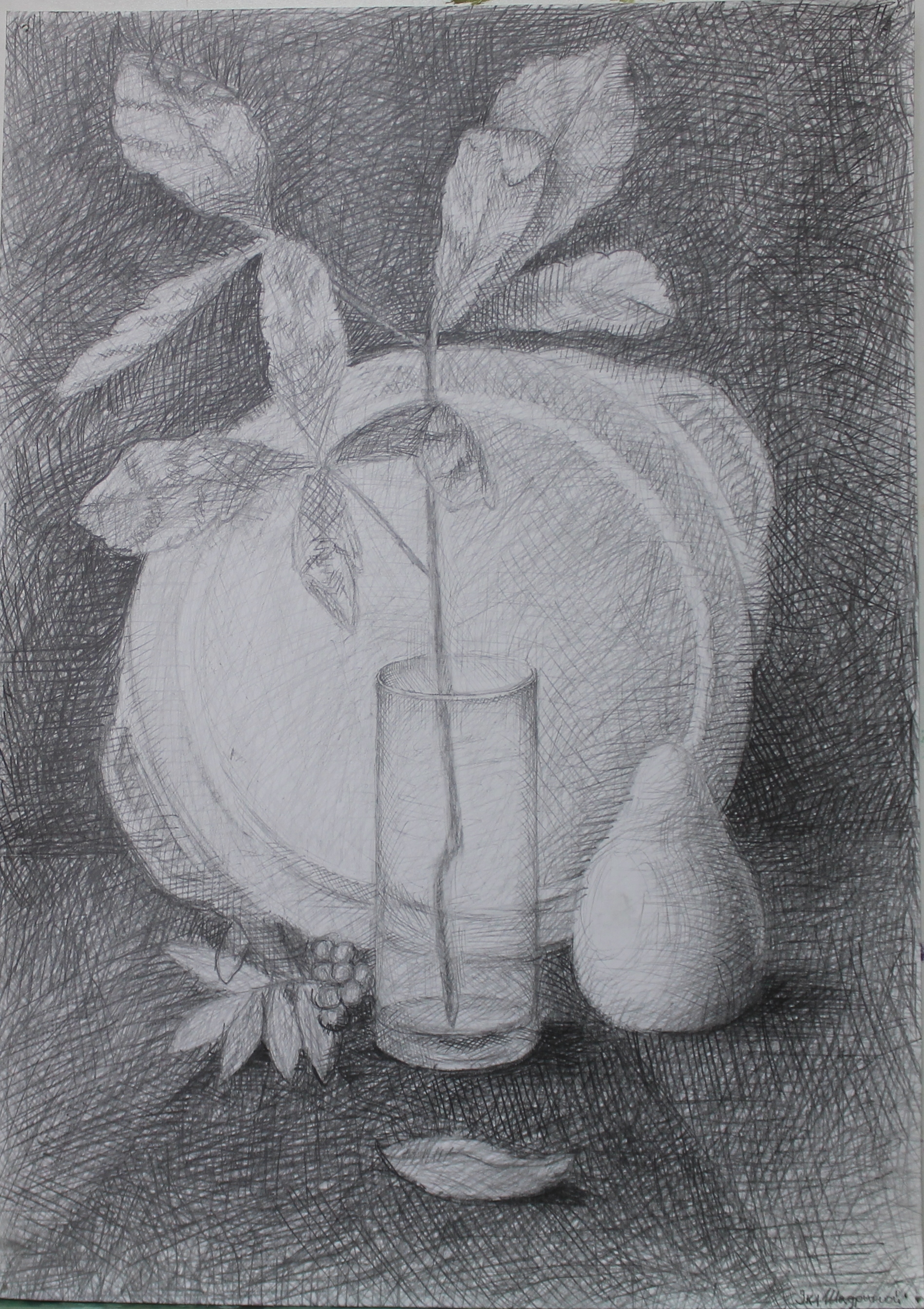 Шадрина Виктория 3кл.