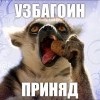 узбагоин приняд))))) узбагоин приняд)))))