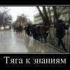 Тяга к знаниям