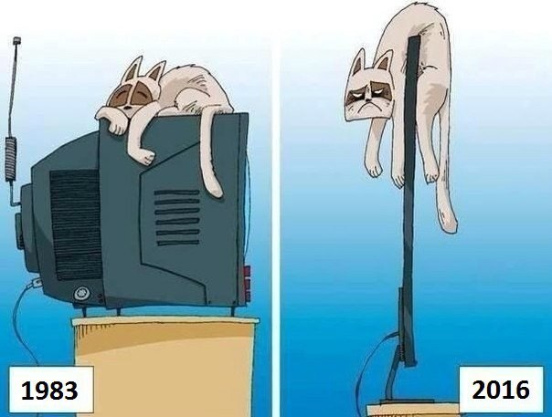 Котэ и телевизор
