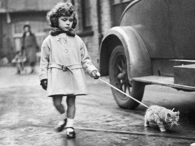 чёрно-белая подборка котэ 9