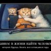 Главное в жизни