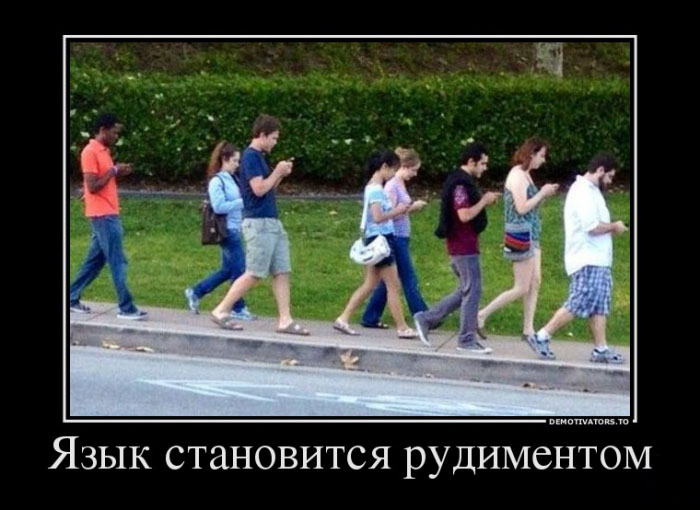 Рудимент