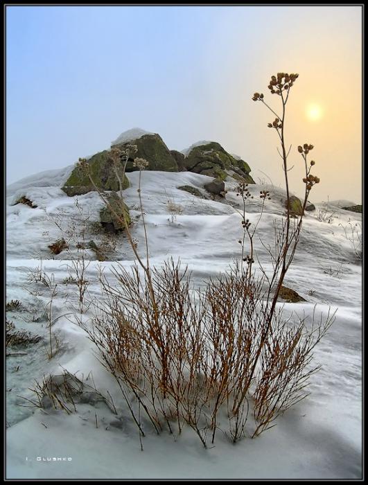 6f7dd93e0a56ec4f328052d7b1f prev