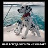 Нам всегда чего-то нехватает