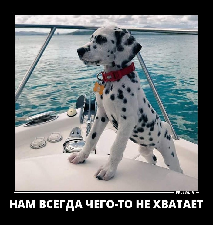 Нам всегда чего-то нехватает
