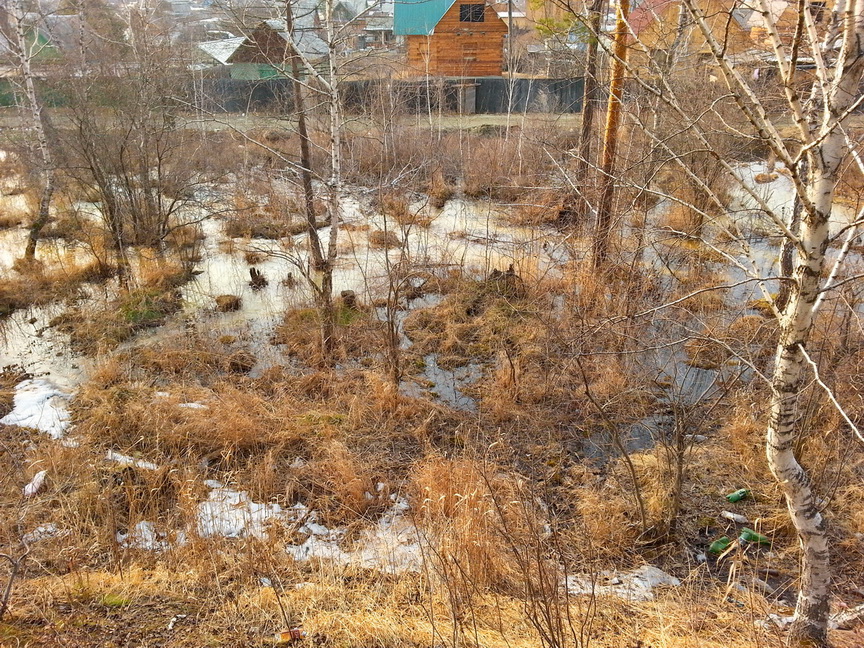 там ... у Расцвета)))))