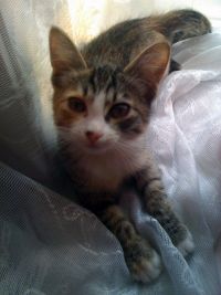 IMG 0609 IMG 0609